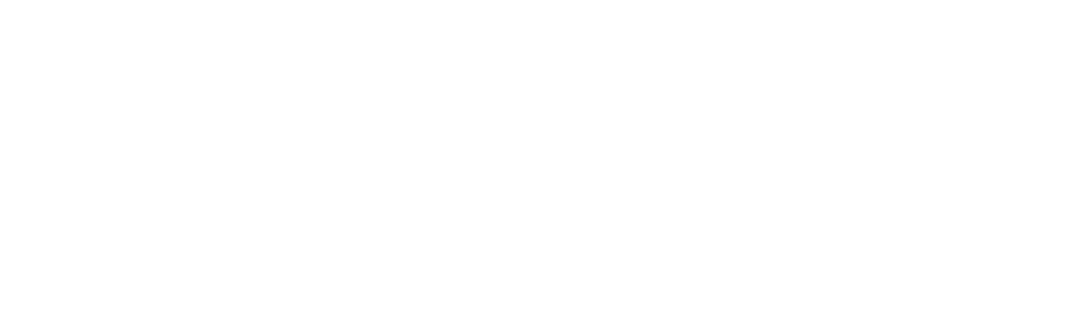 logo IMSNY